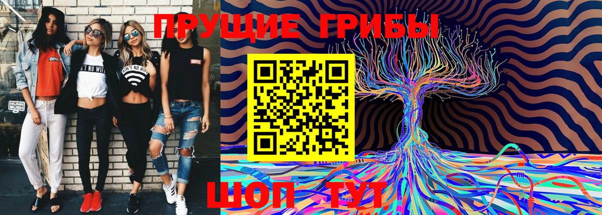 Галлюциногенные грибы GOLDEN TEACHER Десногорск