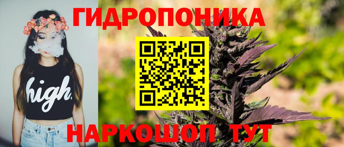 Бошки Шишки планчик Десногорск